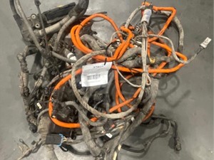 Used 2019 DETROIT Wiring Harness (Stock #37025)) Part Image