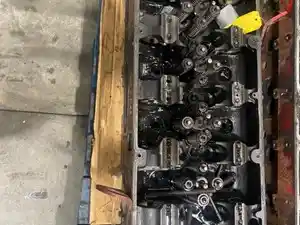 Used Head Image