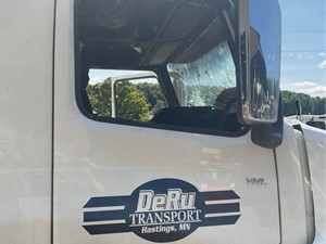 Used 2019 VOLVO VNL Door (Stock #9919)) Part Image