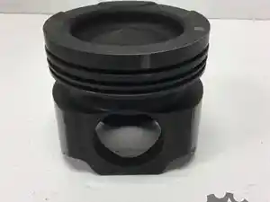 New Piston & Rod (Stock #21170785)) Part Image