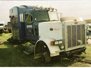 Used 1995 Peterbilt 379 Door (Stock #1731-PETE-9)) Part Image