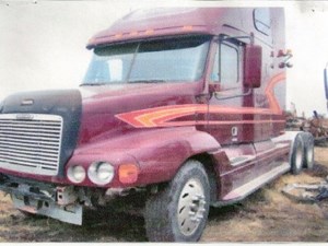 Used 1999 Freightliner CENTURY CLASS 120 Door (Stock #1385-FRTLR-4)) Part Image