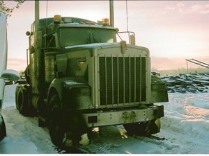 Used 2001 Kenworth W900 Door (Stock #1686-KW-6)) Part Image