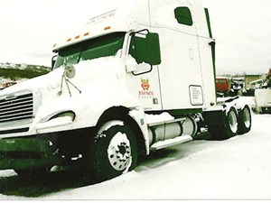 Used 2007 Freightliner COLUMBIA Door (Stock #2497-FRTLR -9)) Part Image