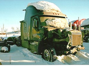 Used 2014 Freightliner Cascadia Door (Stock #2546-FTLR-7)) Part Image