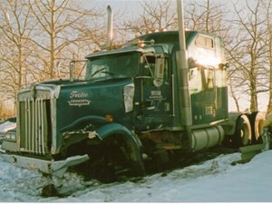 Used 1998 Kenworth W900 Door (Stock #1508-KW-2)) Part Image