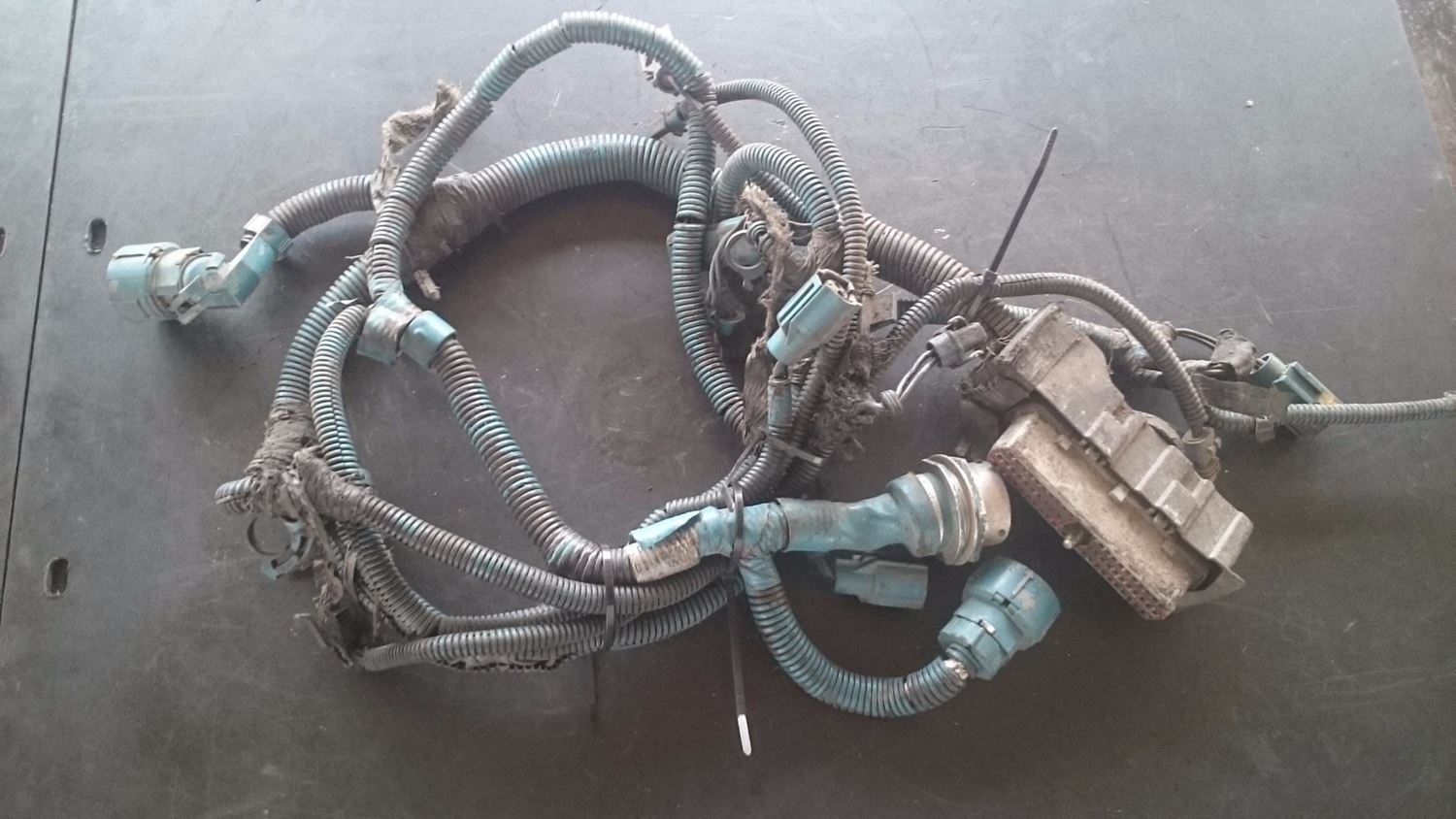 International Other (Stock #6371) | Wiring Harnesses | TPI