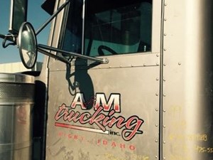 Used 1999 Peterbilt 379 EXT Door (Stock #8415-15)) Part Image