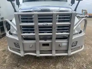 Used 2016 Freightliner Cascadia 125 Moose Bumper (Stock #FRT16855-18)) Part Image