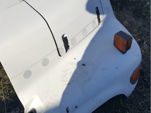 Used 1995 Ford F800 Hood (Stock #21-173-4)) Part Image