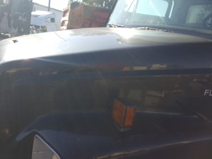 Used 1999 Freightliner FL60 Hood (Stock #21-157-4)) Part Image