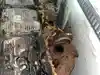 Thumbnail media 2 for Core Caterpillar C15 (DUAL TURBO-ACERT-EGR) Engine Core