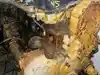 Thumbnail media 1 for Core Caterpillar C15 Engine Core