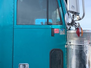 Used 2000 Freightliner CLASSIC XL Door (Stock #22020-17)) Part Image