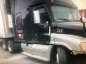 Used 2011 Freightliner Cascadia 125 Door (Stock #21021-6)) Part Image