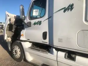 Used 2012 Freightliner Cascadia 125 Door (Stock #62122-1)) Part Image