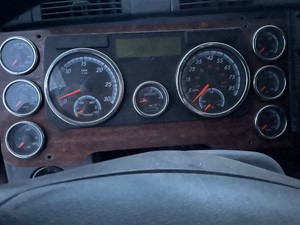 Used 2015 Freightliner Cascadia 125 Instrument Cluster (Stock #122121-4)) Part Image