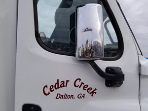 Used 2016 Freightliner Cascadia 125 Door (Stock #100317-1)) Part Image