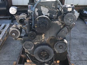 Used Cummins M11 Engine Core (Stock #771458)) Part Image