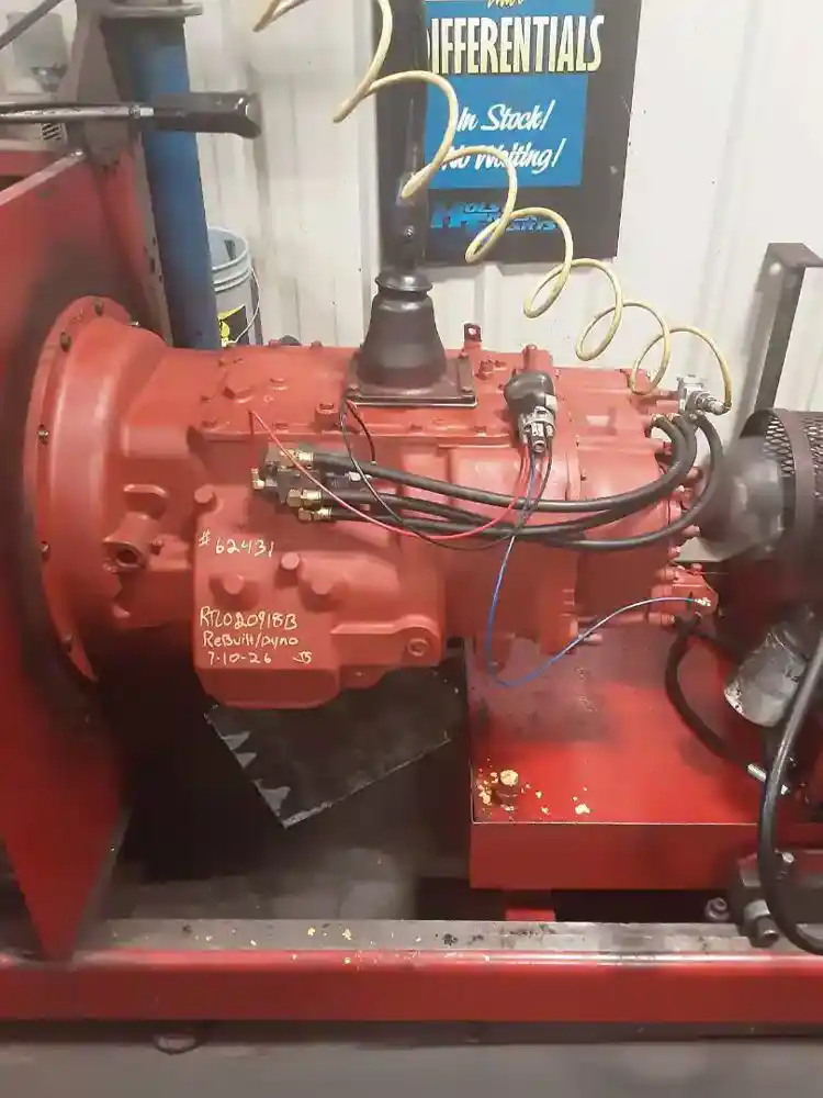  62431 