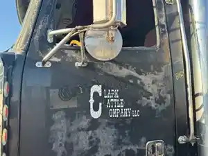 Used 2000 Western Star 4900E Door (Stock #81824-19)) Part Image