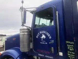 Used 2009 Peterbilt 367 Door (Stock #102423-9)) Part Image