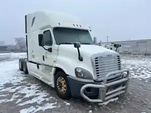 Used 2015 Freightliner Cascadia 125 Moose Bumper (Stock #122023-21)) Part Image
