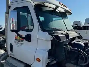 Used 2017 Freightliner Cascadia 113 Cab Image