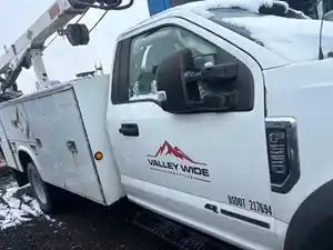 Used 2019 Ford F-550 Door (Stock #110924-7)) Part Image