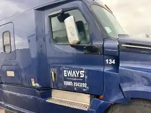 Used 2019 Freightliner Cascadia 126 Door (Stock #41224-9)) Part Image