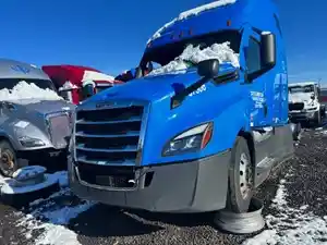 Used 2021 Freightliner Cascadia 126 Hood (Stock #41524-7)) Part Image