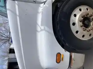 Used 1999 Freightliner FL112 Hood (Stock #P-900)) Part Image