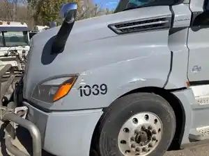 Used 2018 Freightliner Cascadia 126 Hood (Stock #P-934)) Part Image