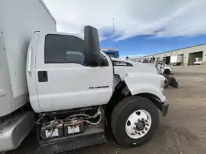 Used 2019 FORD F750 Door (Stock #78789)) Part Image