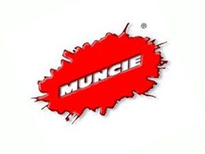 New Muncie Part by Number (Stock #02T35162)) Part Image
