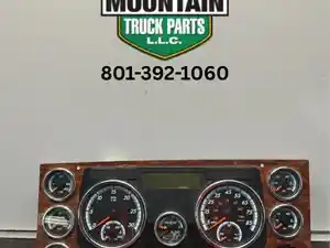 Used Freightliner Cascadia Instrument Cluster (Stock #976262)) Part Image