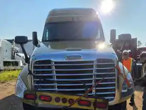 Used 2015 Freightliner Cascadia 125 Hood (Stock #3923-FRTLR-13)) Part Image