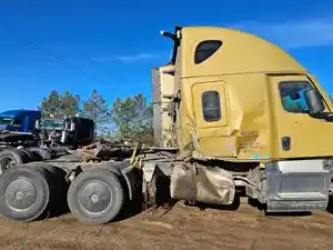 Used 2021 Freightliner Cascadia 116 Sleeper Image