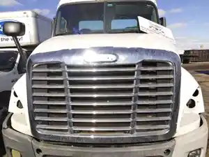 Used 2013 Freightliner Cascadia 125 Hood (Stock #260088-2)) Part Image