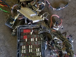 Wiring Harnesses (Cab and Dah) Parts | TPI