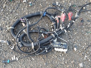 Used 2018 Western Star 4900 SA Wiring Harness (Cab & Dash) (Stock #WS-0654-24)) Part Image