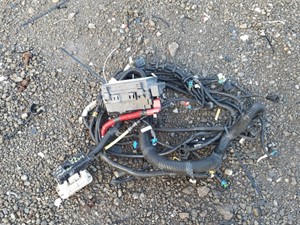 Used 2018 Western Star 4900 SA Wiring Harness (Cab & Dash) (Stock #WS-0654-25)) Part Image