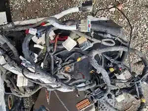Used 2019 Cummins B6.7 Wiring Harness (Stock #FR-0681-39)) Part Image