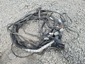 Used 2013 Freightliner Cascadia 125 Wiring Harness (Cab & Dash) (Stock #FR-0568-38)) Part Image