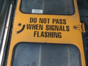 Used International SCHOOL BUS Door Ass'y (Rear/Back) (Stock #P-1043)) Part Image