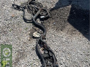Used 2014 International 3000 series (bus) Wiring Harness (Cab & Dash) (Stock #IN-0715-12)) Part Image