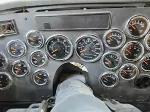 Used 2019 Western Star 4900FA Instrument Cluster (Stock #WS-0806-39)) Part Image