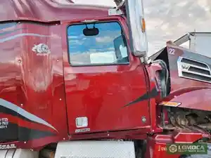 Used 2019 Western Star 5700 Door (Stock #WS-0802-3)) Part Image