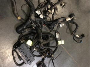 Used 2016 DETROIT Wiring Harness (Stock #29834)) Part Image