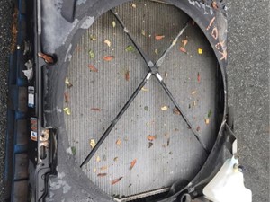 Used 2015 KENWORTH T680 Radiator (Stock #26696)) Part Image